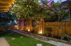 Casa DanAdy